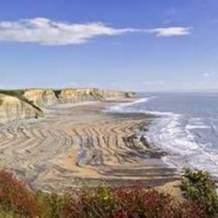 1-Bed Cottage On Coastal Pathway In South Wales Gileston Zewnętrze zdjęcie